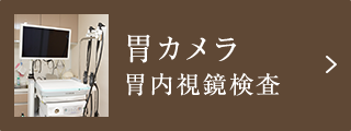 胃カメラ　胃内視鏡検査