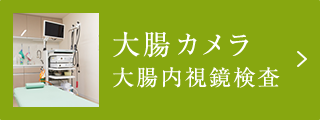 大腸カメラ　大腸内視鏡検査