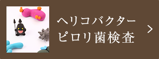 ヘリコバクター　ピロリ菌検査